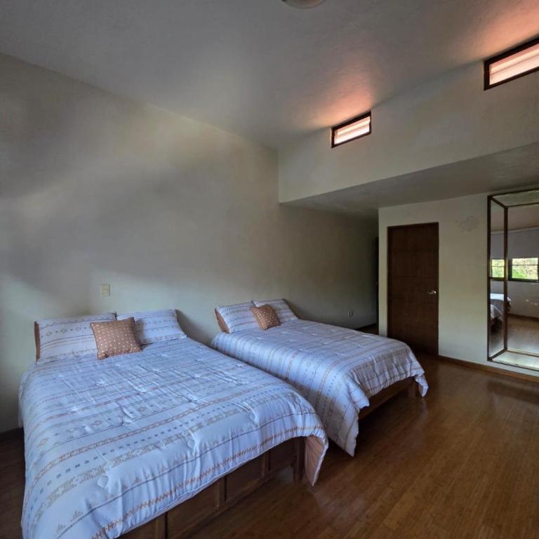 Cygnus Residence - Villa - 12