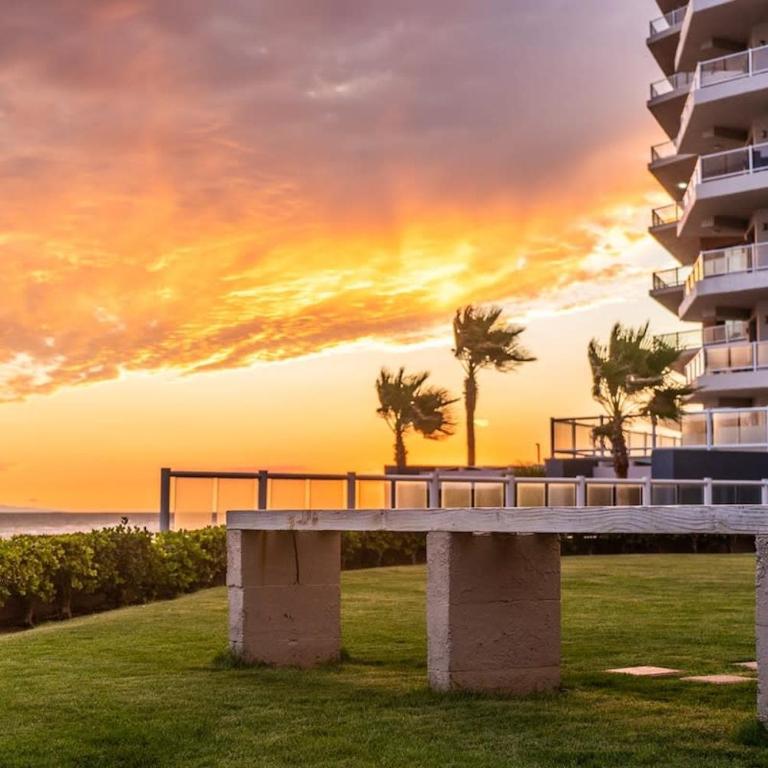 Las Palomas OV 2BR 2BA Penthouse Cortez 1604 - Apartamento - 88