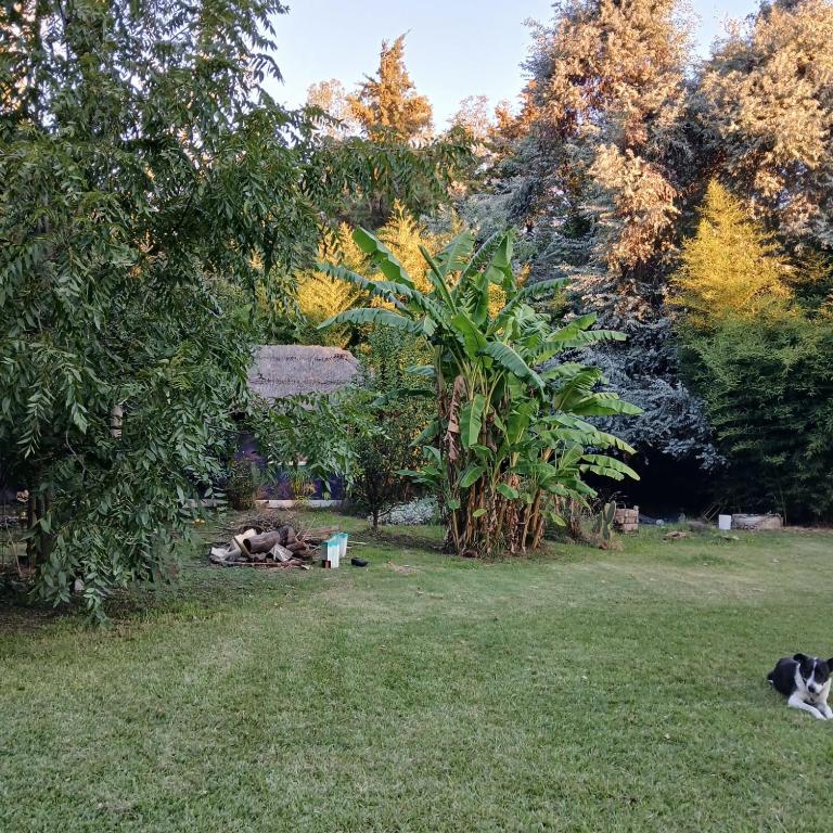 Hospedaje Natural CHANEYLU - Casa de 2 dormitorios - 3