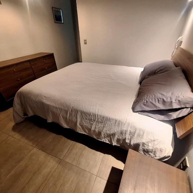 Dúplex con patio privado, Providencia - Two-Bedroom Apartment - 14