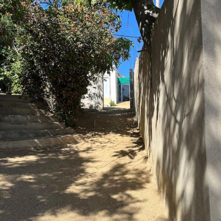 A house with an ocean view - Apartamento de 1 dormitorio - 14