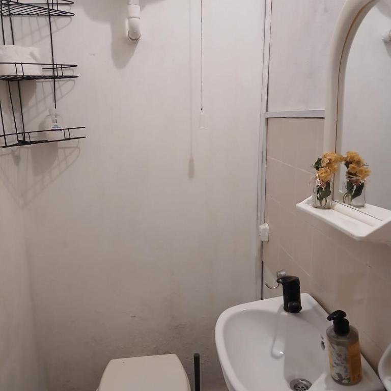 Cálido y Sencillo Monoambiente a 100 m Estación SF - Apartamento de 1 dormitorio - 25
