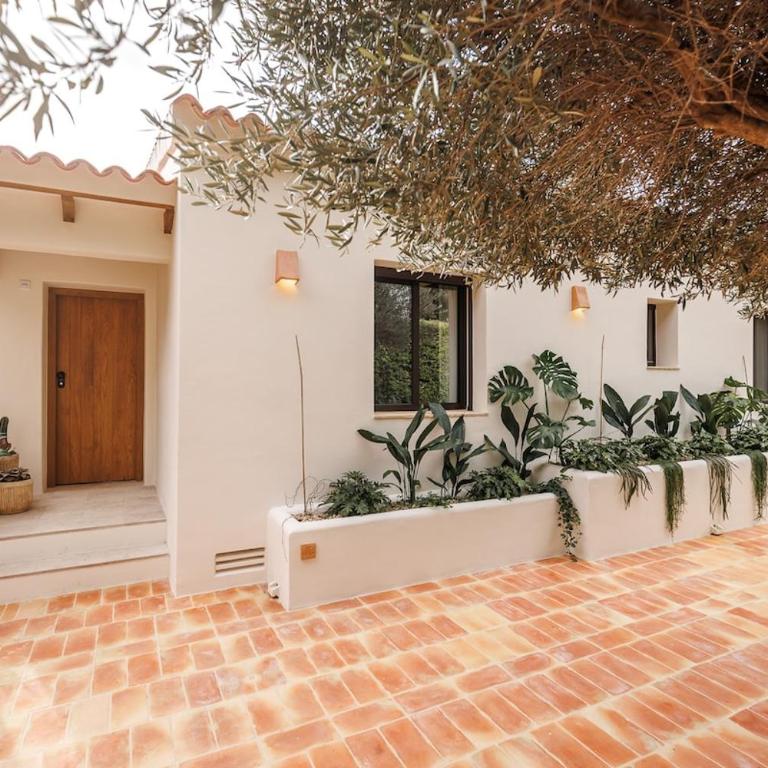 Casa Montgó - Villa - 52