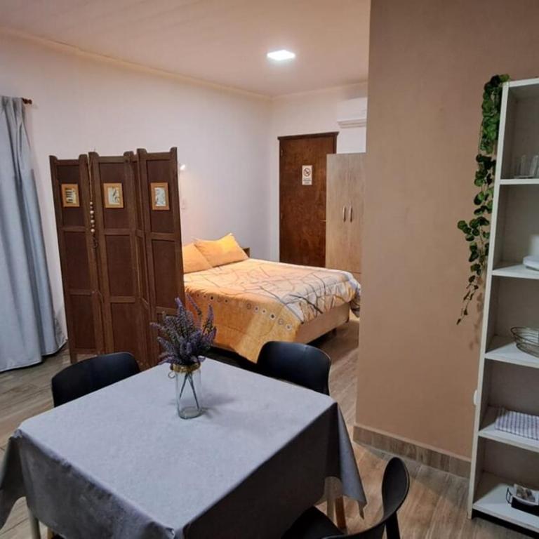 Alquiler Temporario San Martín - One-Bedroom Apartment - 3