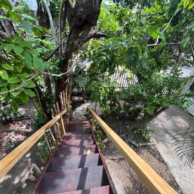 Beach Studio Cartagena - One-Bedroom Apartment - 3