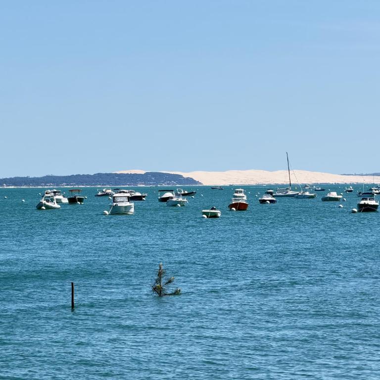 Studio ouest à 300m des plages - Studio Standard - 10