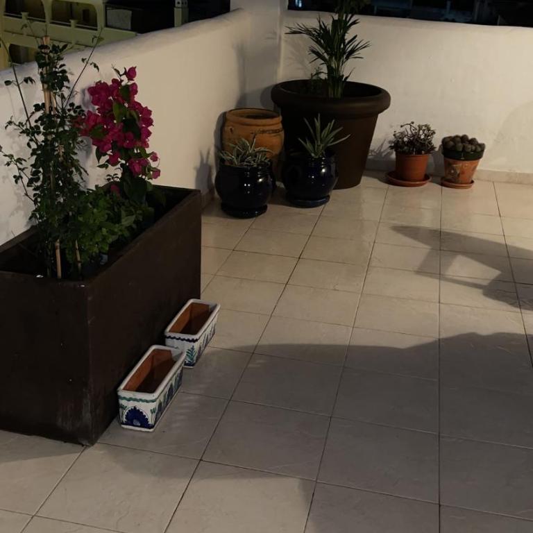 Prestige Penthouse with Stunning Sea Views - Apartamento de 2 dormitorios - 58
