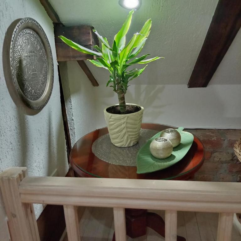M Dvor 88 - Appartement 2 Chambres - 9