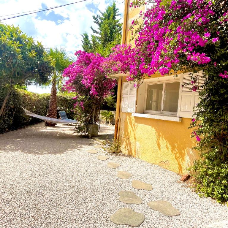 Studio à l Almanarre proche mer - Apartment mit 1 Schlafzimmer - 1