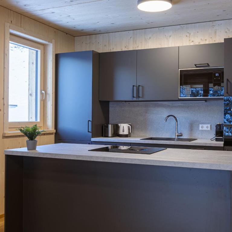 Bergresort Lachtal by ALPS RESORTS - Apartamento de 3 dormitorios con vistas - 11