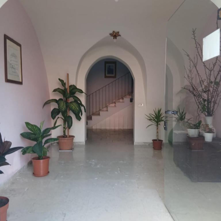 Casa Campani - Appartamento con 1 Camera da Letto - 15