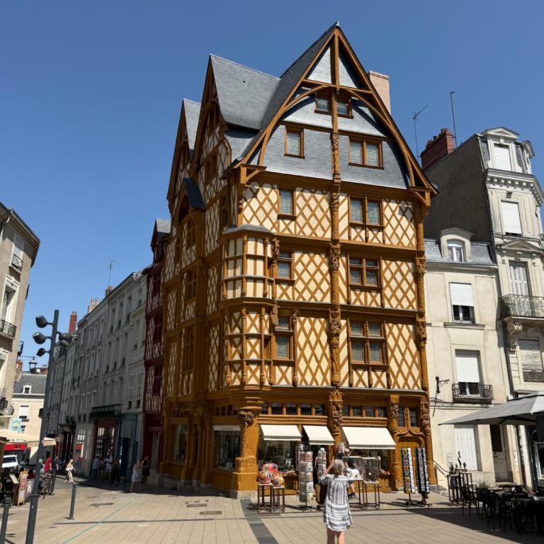Séjour lumineux & calme en plein cœur d'Angers - Appartement 1 Chambre - 35