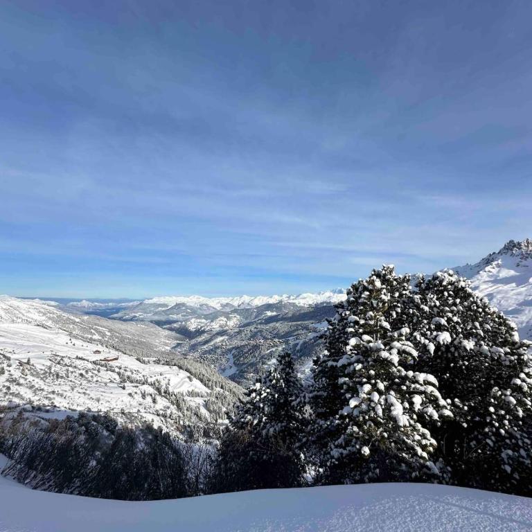 Méribel Mottaret with Sun, Ski and View - One-Bedroom Apartment - 14