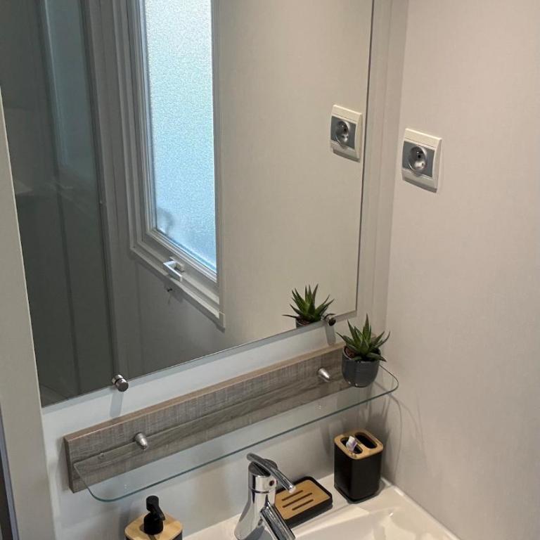 Entre Océan et Bassin, mobil-home tout confort - Mobilheim - 20