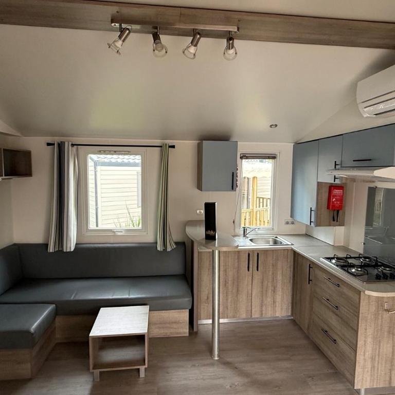 Entre Océan et Bassin, mobil-home tout confort - Mobilheim - 8
