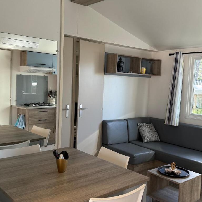 Entre Océan et Bassin, mobil-home tout confort - Mobilheim - 16