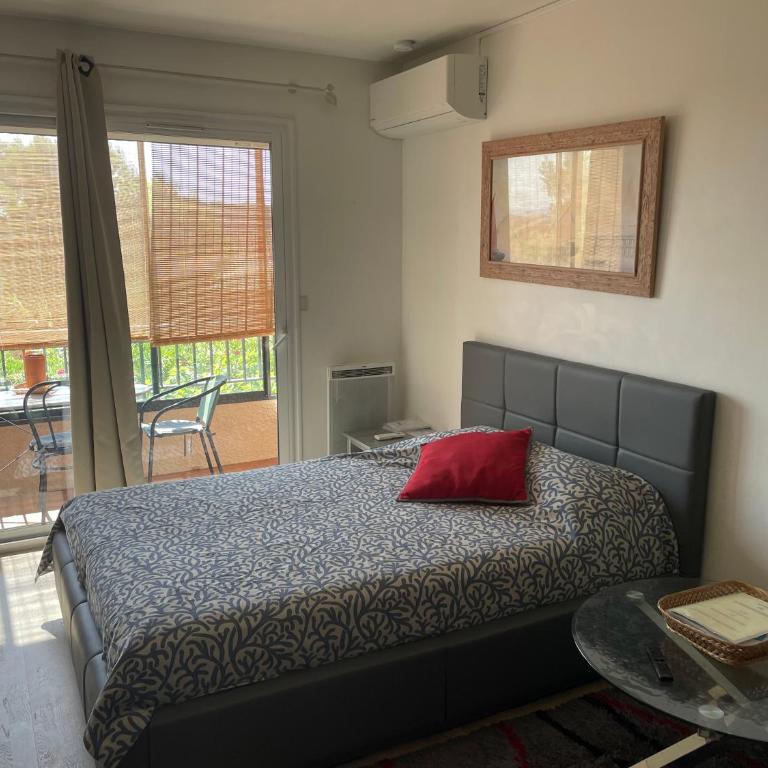 Grand Studio Avec Piscine Presqu'île De Giens - Apartamento de 1 dormitorio - 24