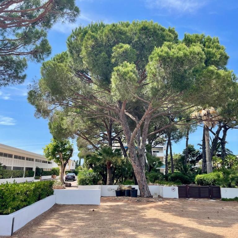 Studio climatisé en bord de mer et Plage privée - Apartment mit 1 Schlafzimmer - 1
