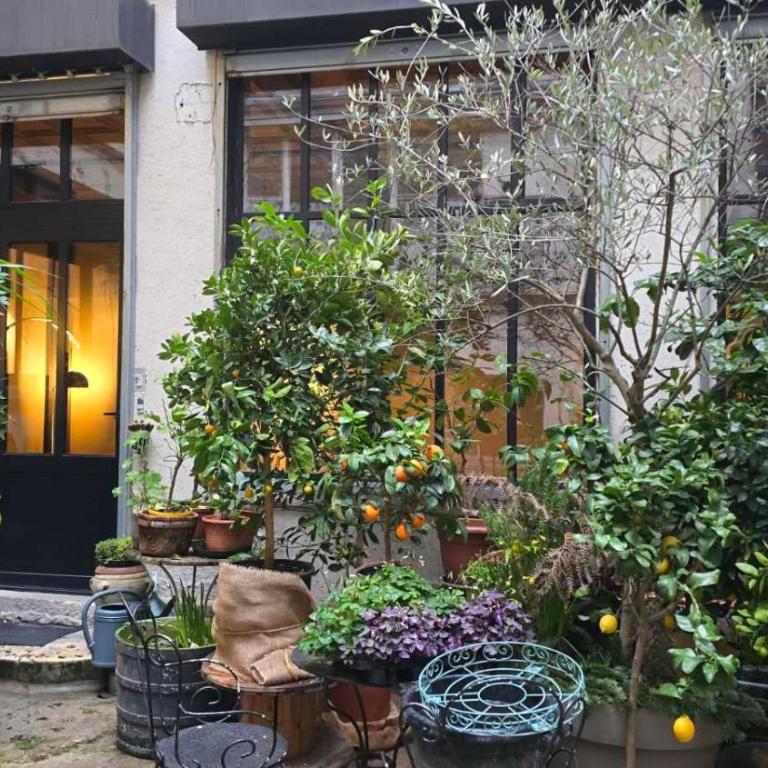 Paris 2nd - Rue Montorgueil - Apartamento de 1 dormitorio - 21