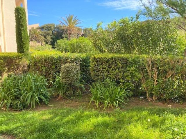 T2 Ground floor, 4 beds, pool, sea access - Appartement 2 Chambres - 15