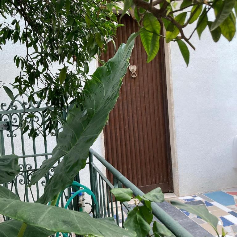 VICTORIA'S HOUSE SANREMO Apartment in a villa with a sea view, 200 m from a bike path - Apartment mit 1 Schlafzimmer - 29