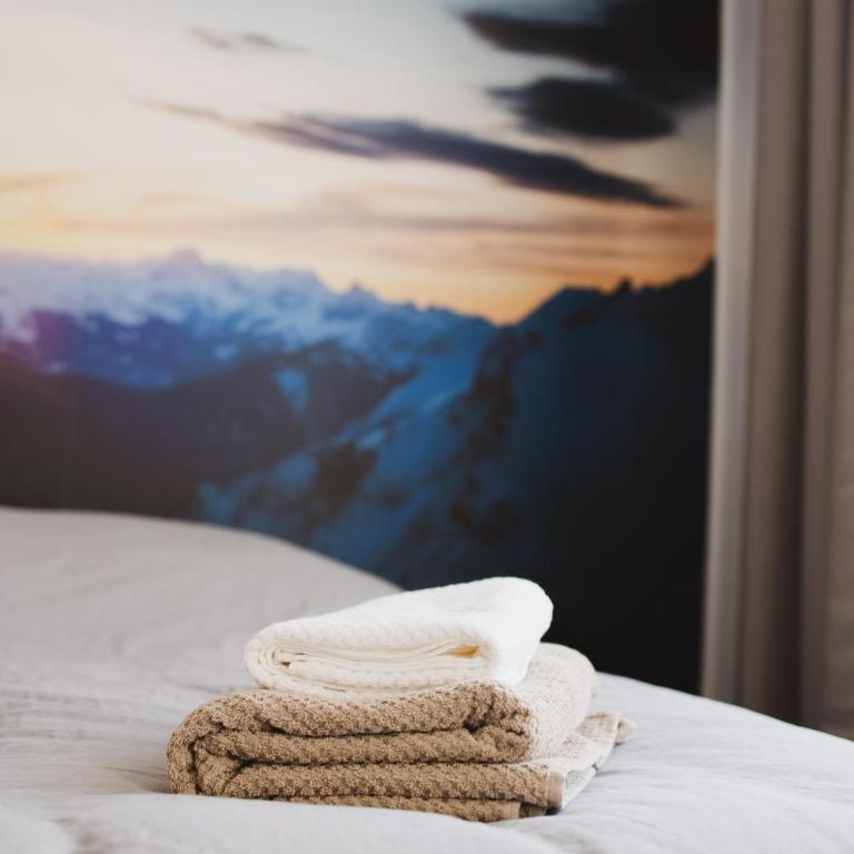Le Skieur - Studio Cosy au coeur de Grenoble - One-Bedroom Apartment - 7