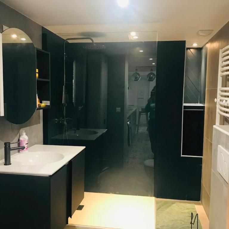 Magnifique T2 avec terrasse au cœur du village - Appartement 1 Chambre - 4