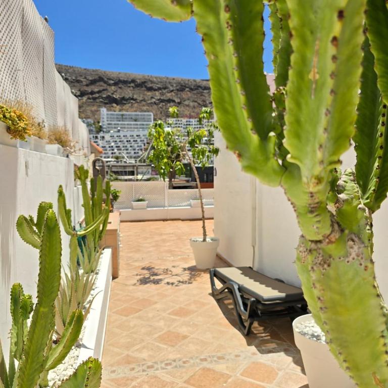 Bungalow Carola, Large private terrace, Puerto Rico - Casa de 3 dormitorios - 7