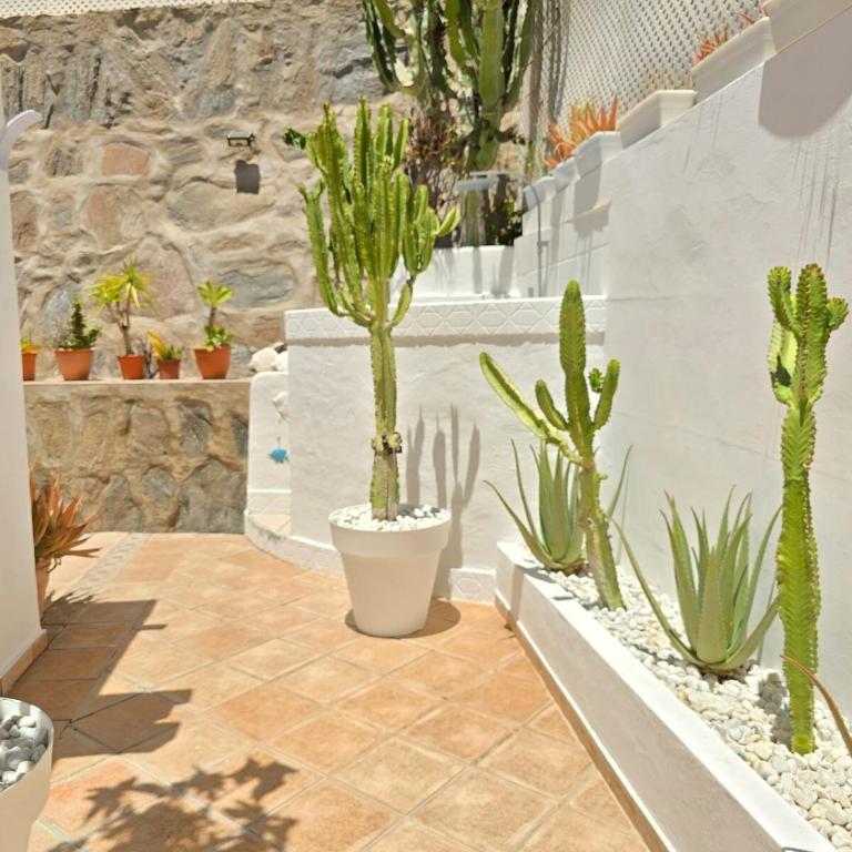 Bungalow Carola, Large private terrace, Puerto Rico - Casa de 3 dormitorios - 9