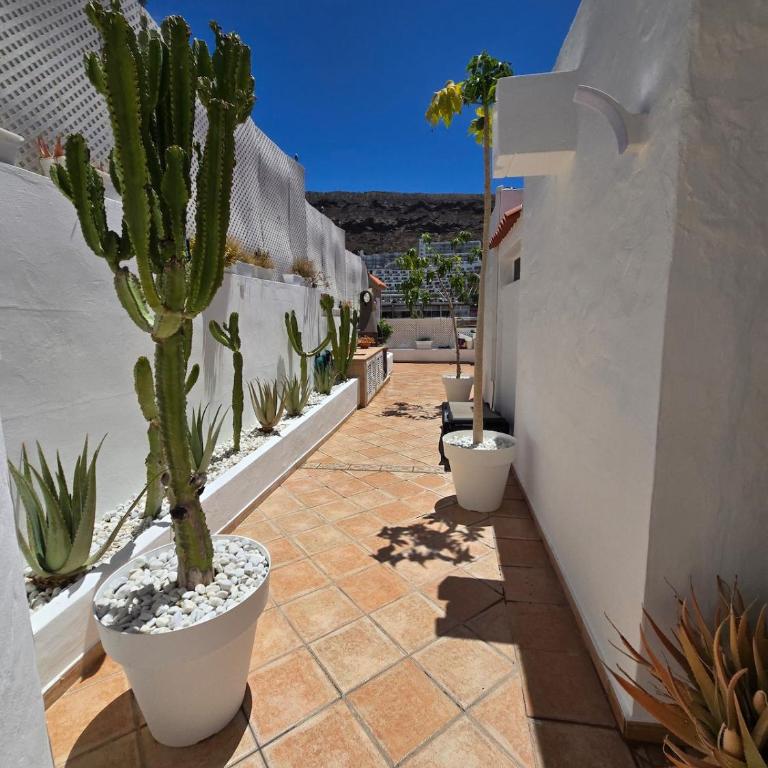 Bungalow Carola, Large private terrace, Puerto Rico - Casa de 3 dormitorios - 26