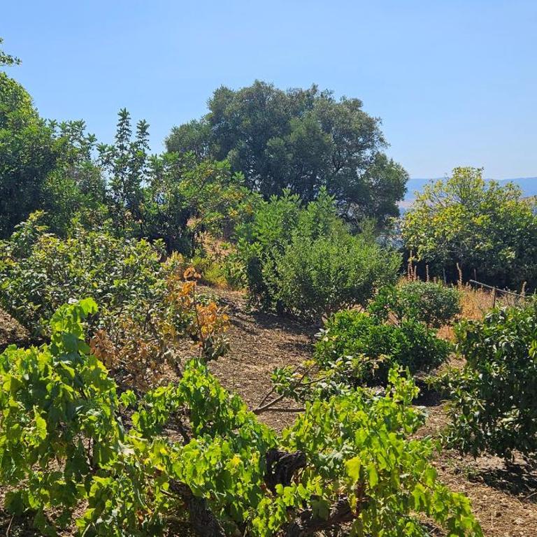 La Fuente De Casares - Casa - 25