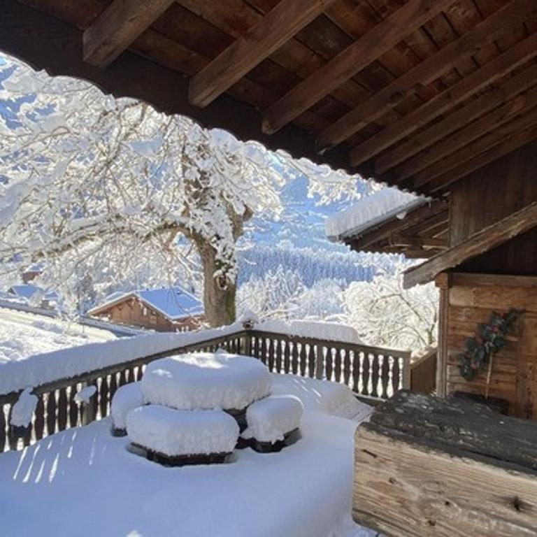 Chalet 4 pièces, 8 pers., Wifi, Parking, Châtel - FR-1-676-43 - Apartamento - 27