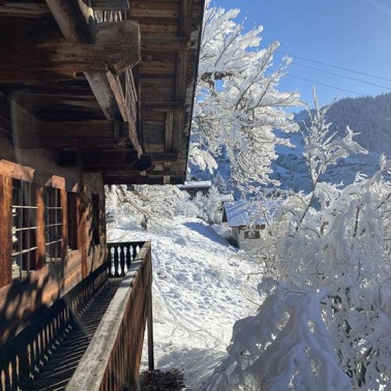 Chalet 4 pièces, 8 pers., Wifi, Parking, Châtel - FR-1-676-43 - Apartamento - 29