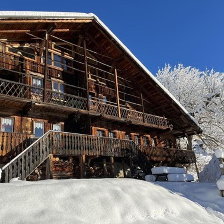Chalet 4 pièces, 8 pers., Wifi, Parking, Châtel - FR-1-676-43 - Apartamento - 32