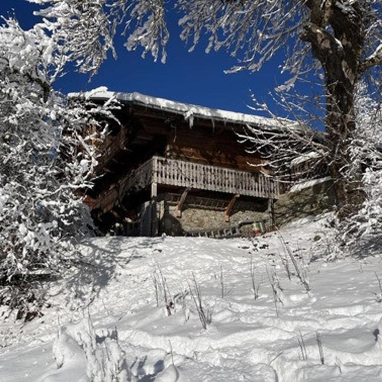 Chalet 4 pièces, 8 pers., Wifi, Parking, Châtel - FR-1-676-43 - Apartamento - 33