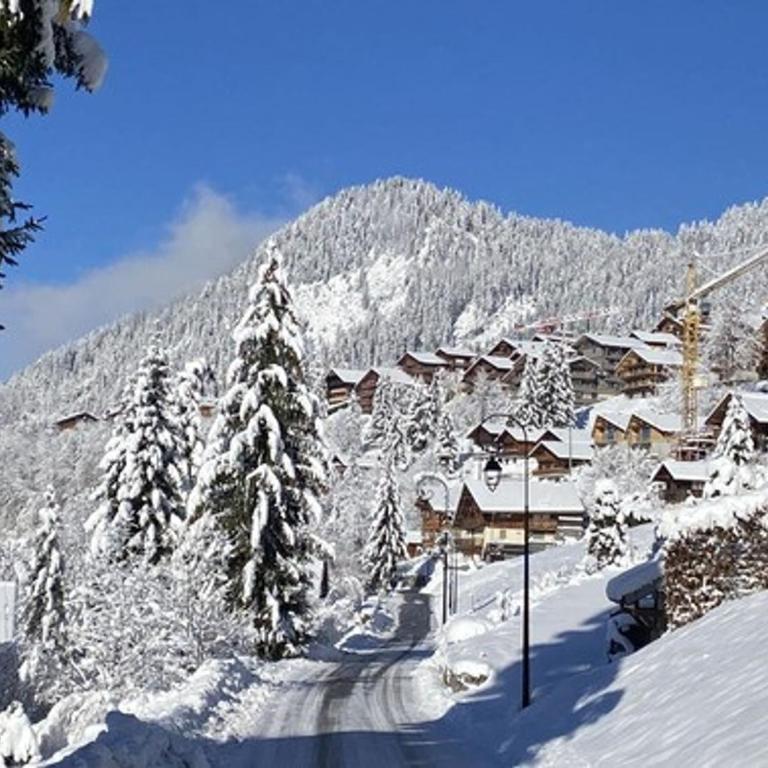 Chalet 4 pièces, 8 pers., Wifi, Parking, Châtel - FR-1-676-43 - Apartamento - 34