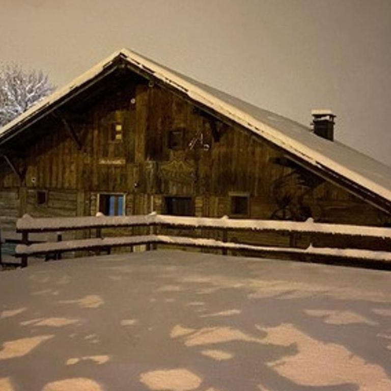 Chalet 4 pièces, 8 pers., Wifi, Parking, Châtel - FR-1-676-43 - Apartamento - 36