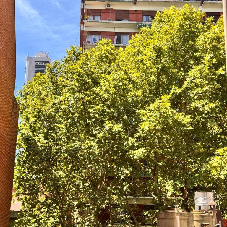 2 ambientes en Belgrano cerca de todo - Apartamento de 1 dormitorio - 3