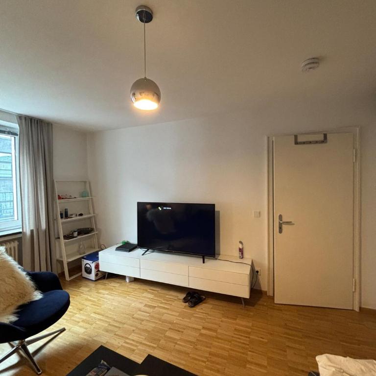 Amazing Oktoberfest Studio Apartment - Apartamento de 1 dormitorio - 1