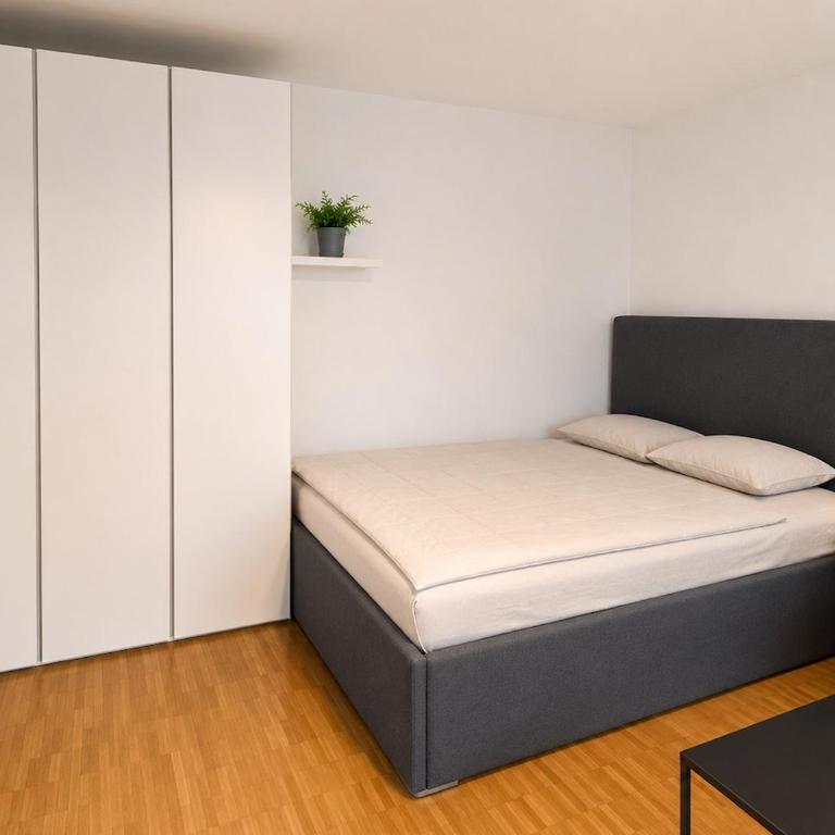 Amazing Oktoberfest Studio Apartment - Apartamento de 1 dormitorio - 2