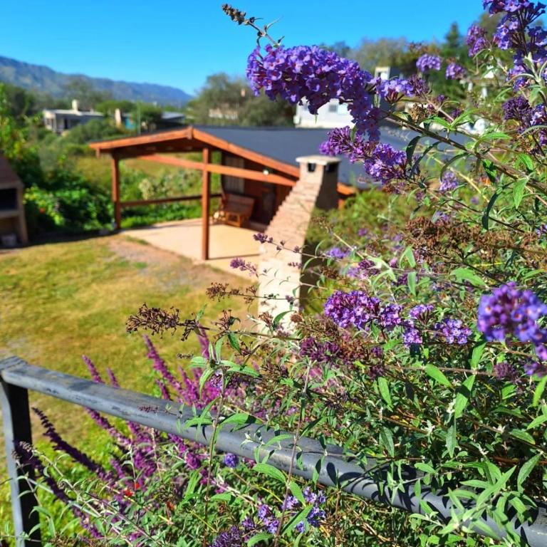 Sierras de Indama - One-Bedroom House - 3
