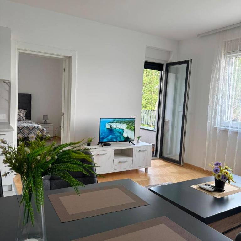 Apartman Marko - Apartman sa 1 Spavaćom Sobom - 9