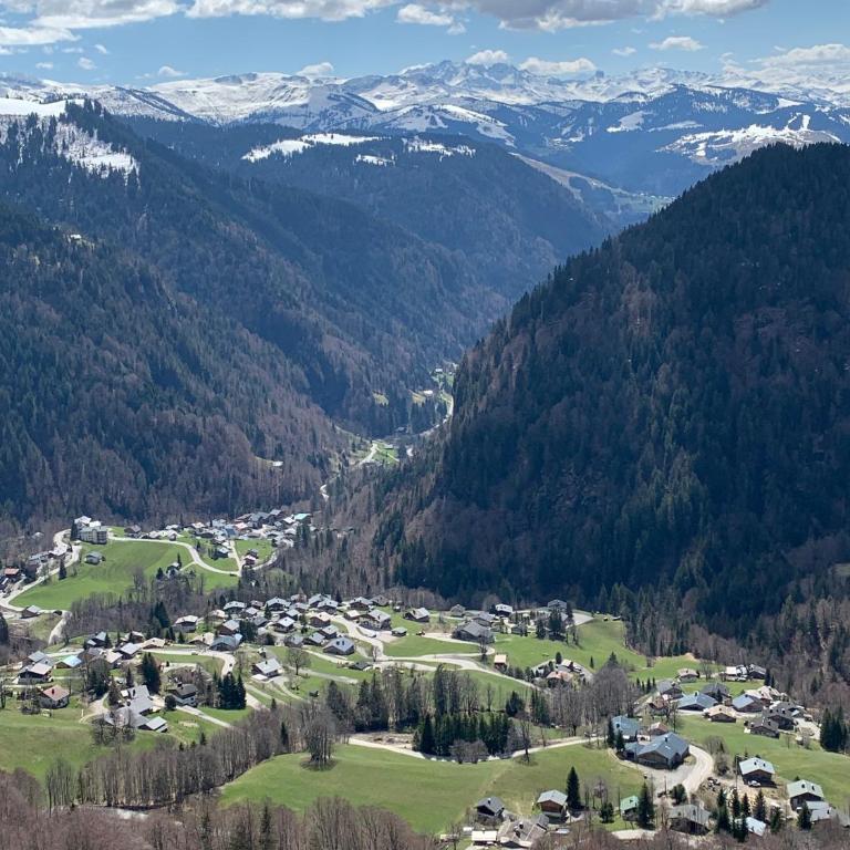 Appart T3 cosy cœur La Giettaz - Appartement 2 Chambres avec Vue sur la Montagne - 33