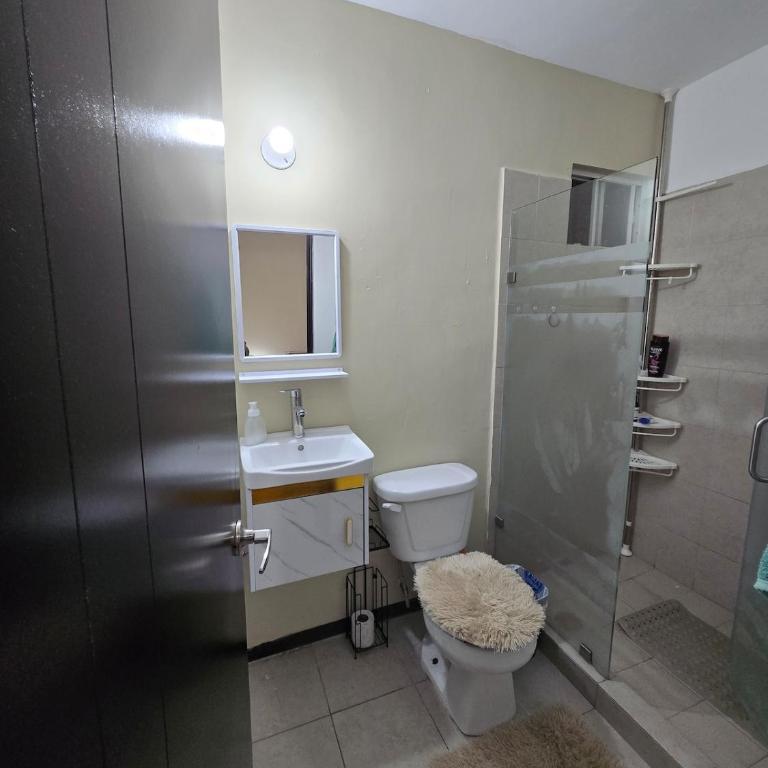 Entire Private House, Near the Airport - Apartamento de 2 dormitorios - 3