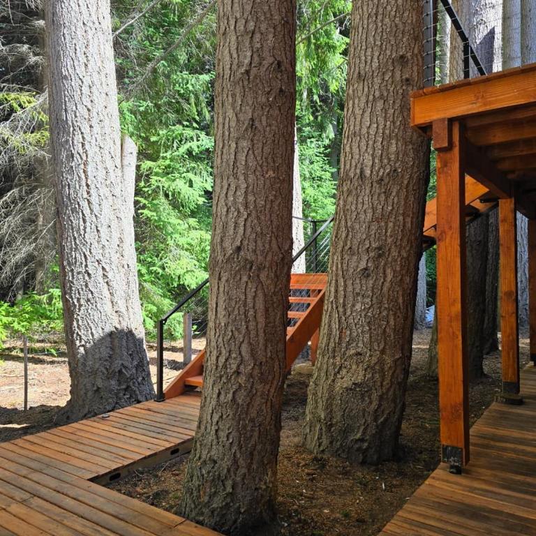Cabañas en el bosque patagónico, Remanso del Bosque - Chalet de 1 dormitorio - 1