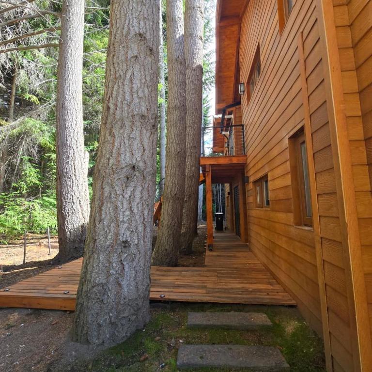 Cabañas en el bosque patagónico, Remanso del Bosque - Chalet de 1 dormitorio - 2
