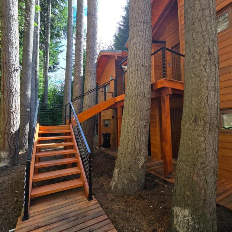 Cabañas en el bosque patagónico, Remanso del Bosque - Chalet de 1 dormitorio - 14