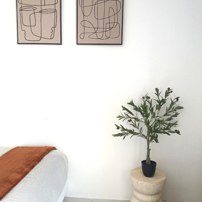 Mediterranean cocoon parking loggia washing machine - Appartement 1 Chambre - 16