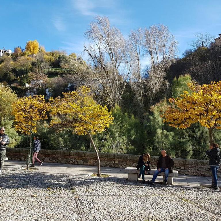 Charmant appartement vue Alhambra - Apartamento de 2 dormitorios con balcón - 21