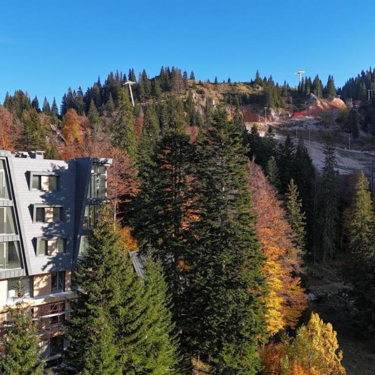 Well Mont apart 9 - Apartman sa 1 Spavaćom Sobom - 3